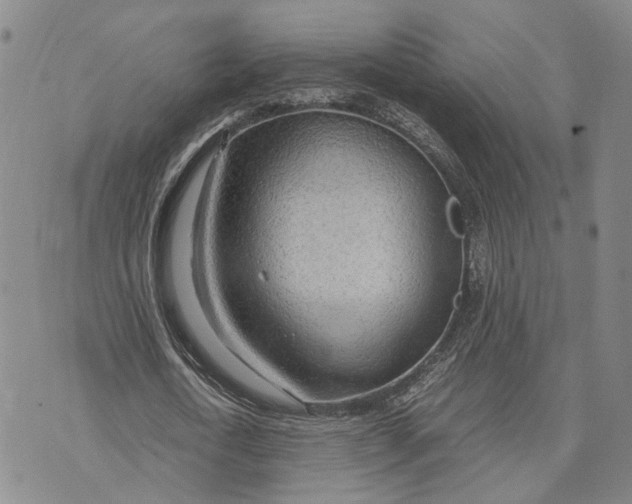 X0000072520722200608041531