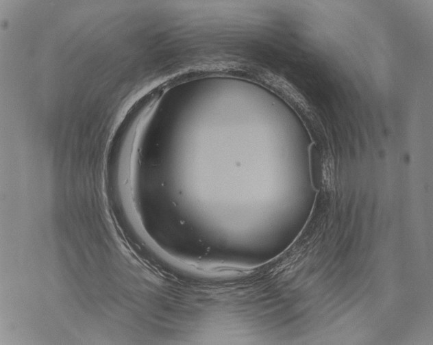 X0000072520724200608041531