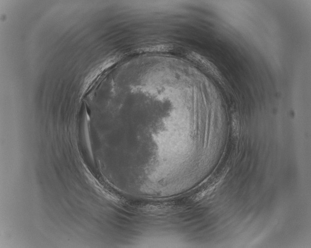 X0000072520725200608041531