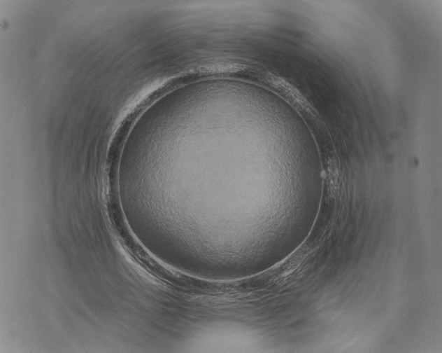 X0000072520726200608041531