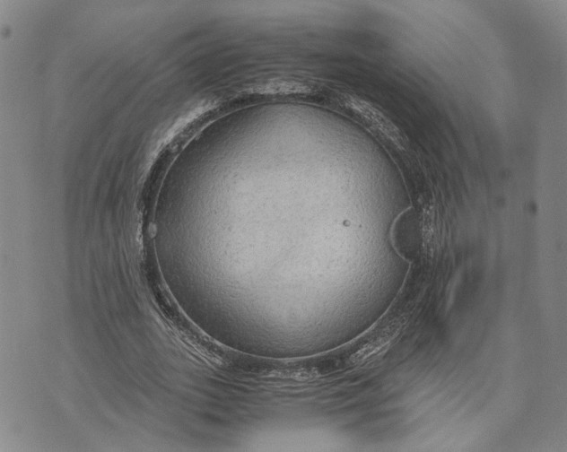 X0000072520727200608041531