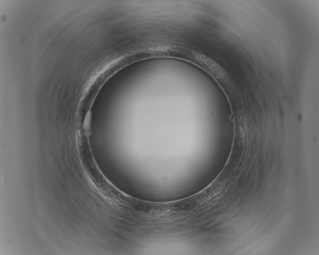 X0000072520728200608041531