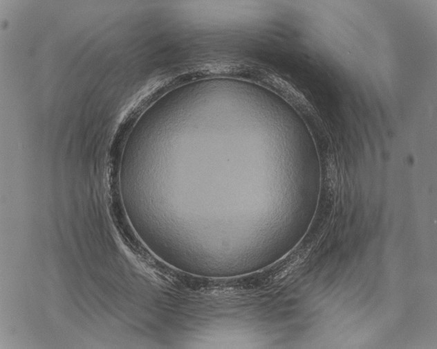 X0000072520730200608041531