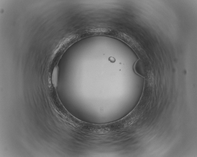 X0000072520731200608041531