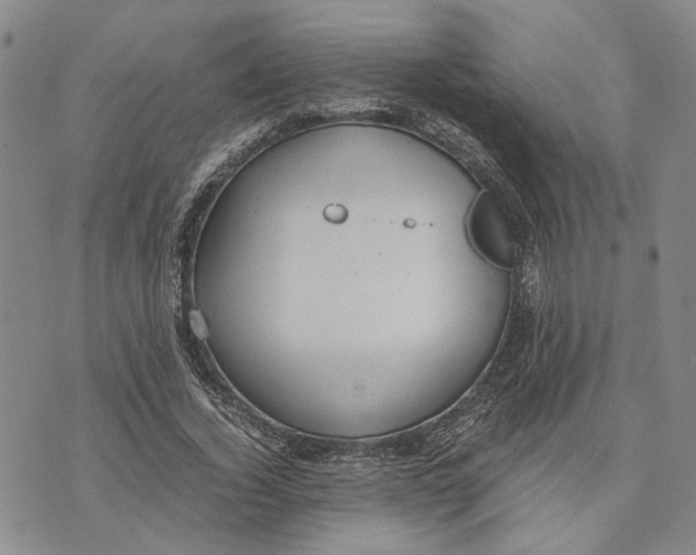 X0000072520732200608041531