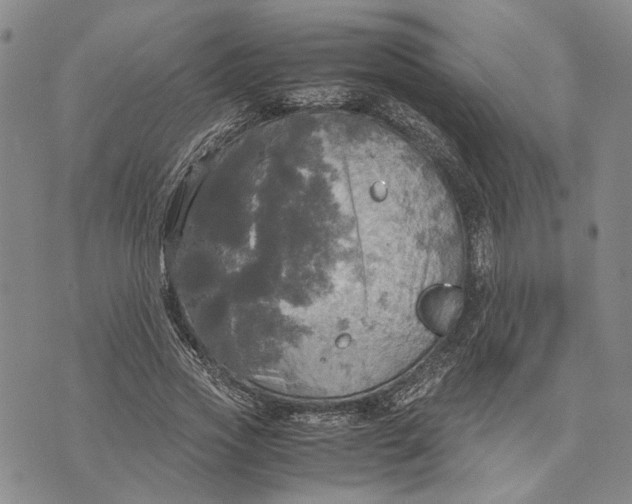 X0000072520733200608041531