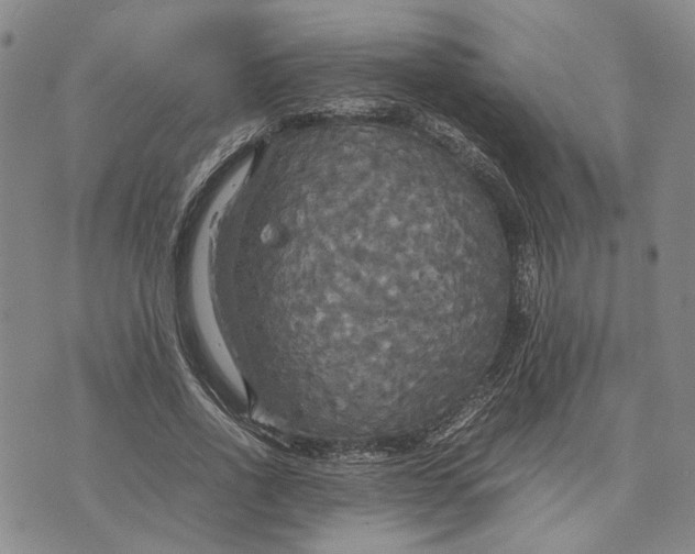 X0000072520734200608041531