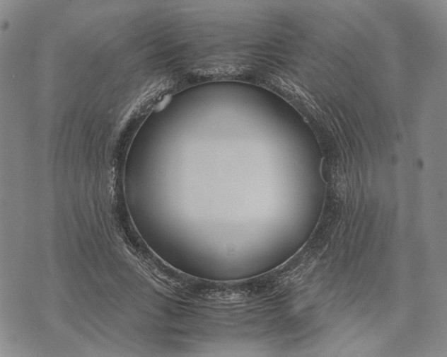 X0000072520735200608041531