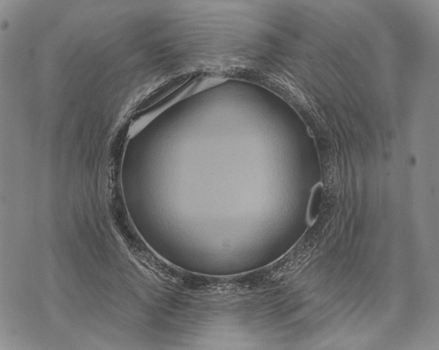 X0000072520736200608041531