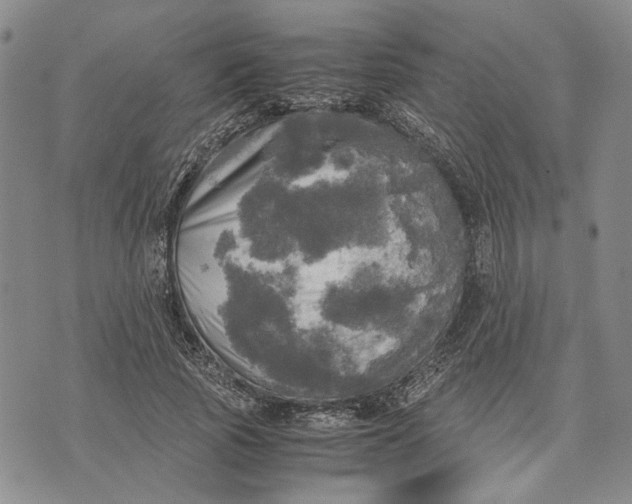 X0000072520737200608041531