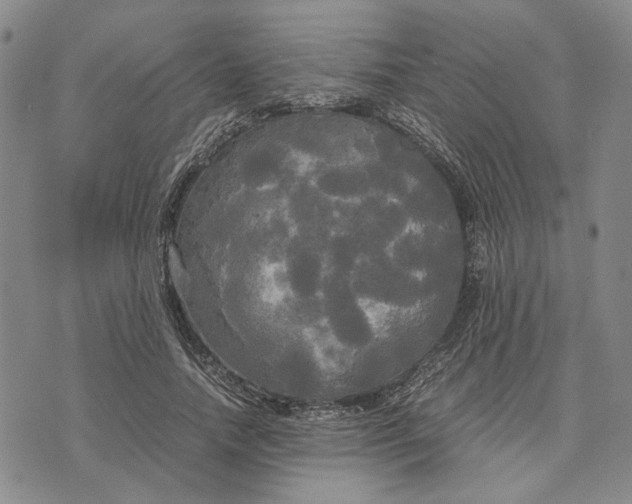 X0000072520738200608041531