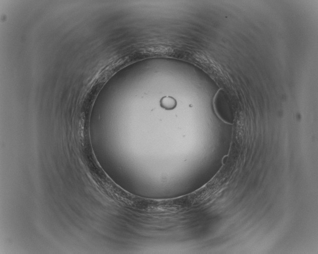 X0000072520739200608041531