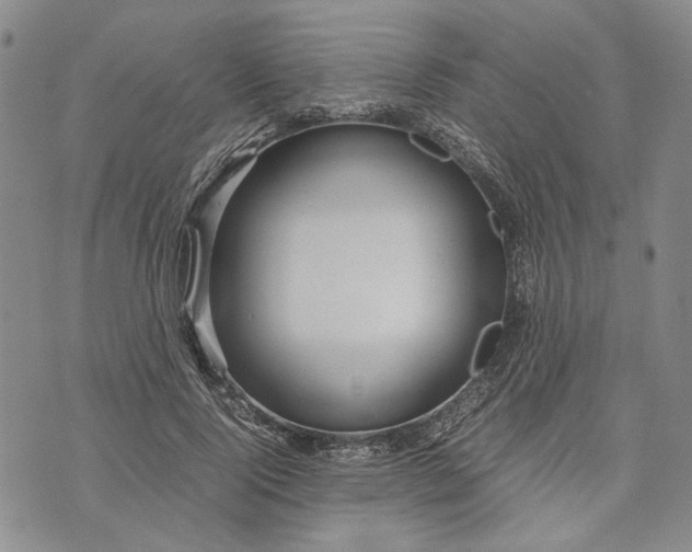 X0000072520740200608041531