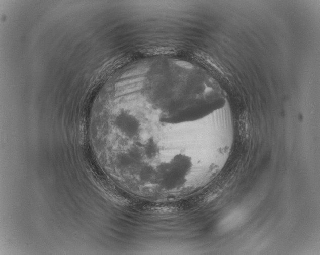 X0000072520741200608041531