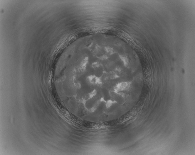 X0000072520742200608041531