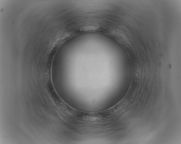 X0000072520743200608041531