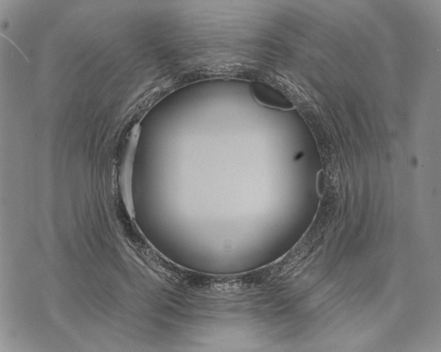 X0000072520744200608041531