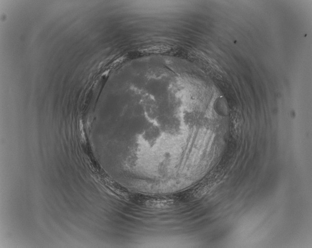 X0000072520745200608041531