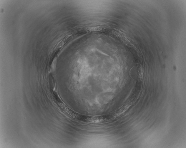 X0000072520746200608041531