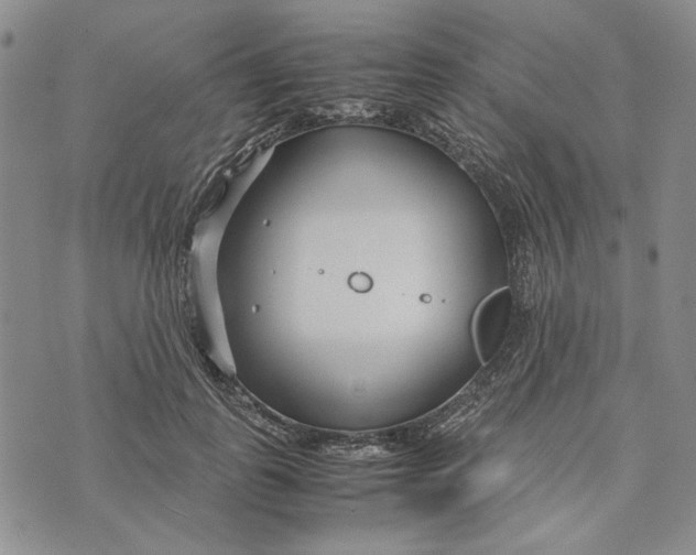 X0000072520747200608041531