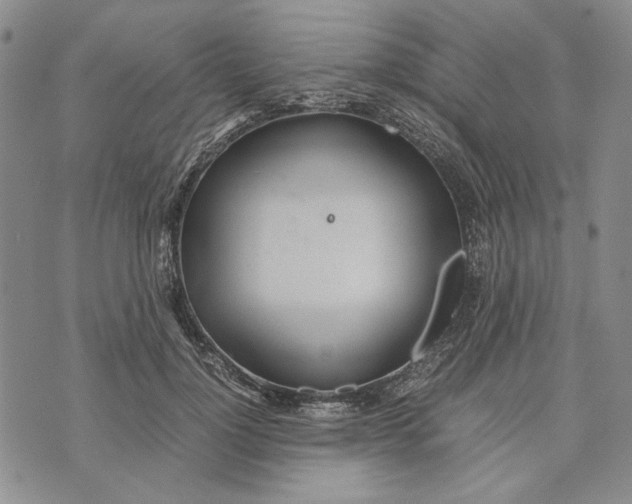 X0000072520748200608041531