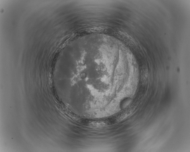 X0000072520749200608041531