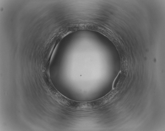 X0000072520750200608041531