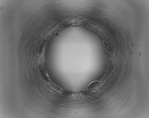 X0000072520752200608041531