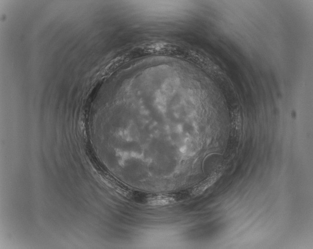 X0000072520754200608041532