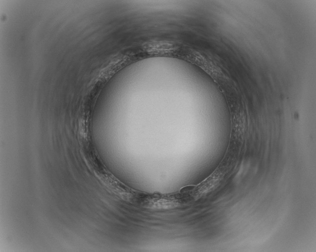 X0000072520755200608041532