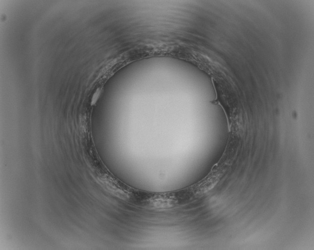 X0000072520756200608041532