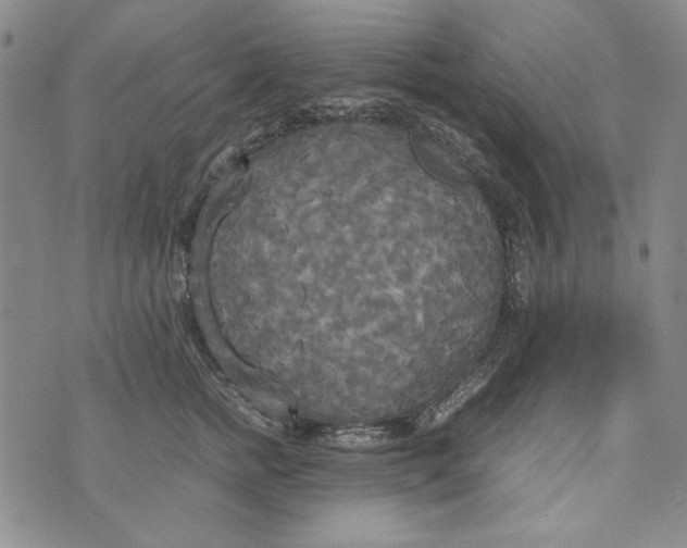 X0000072520758200608041532