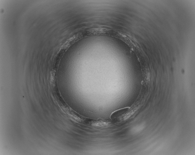 X0000072520759200608041532