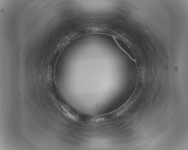 X0000072520760200608041532