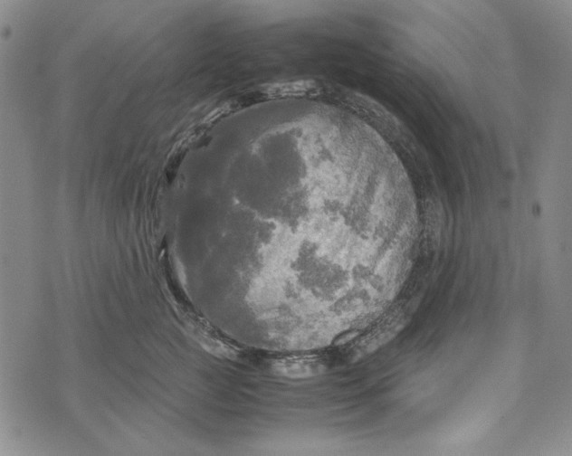 X0000072520761200608041532