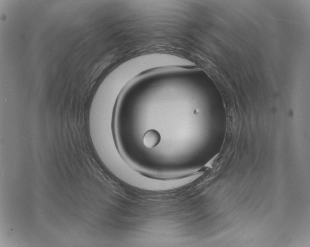 X0000072520762200608041532