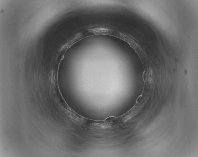 X0000072520763200608041532