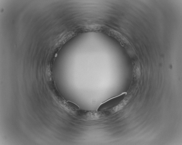 X0000072520764200608041532