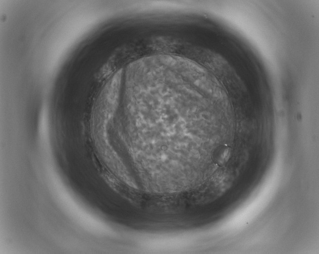 X0000072520765200608041532