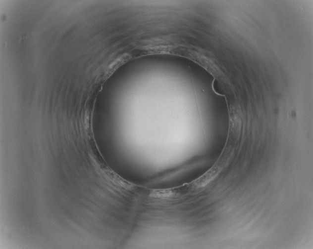 X0000072520767200608041532