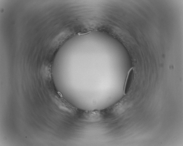 X0000072520768200608041532