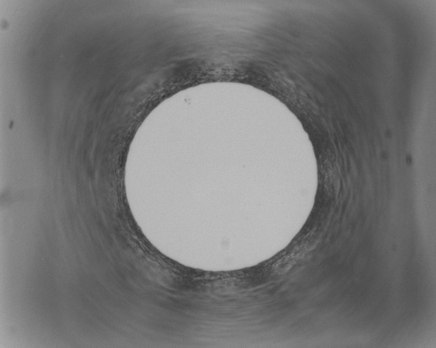 X0000072520769200608041531