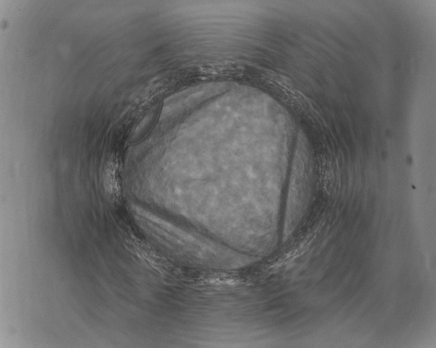 X0000072520770200608041531