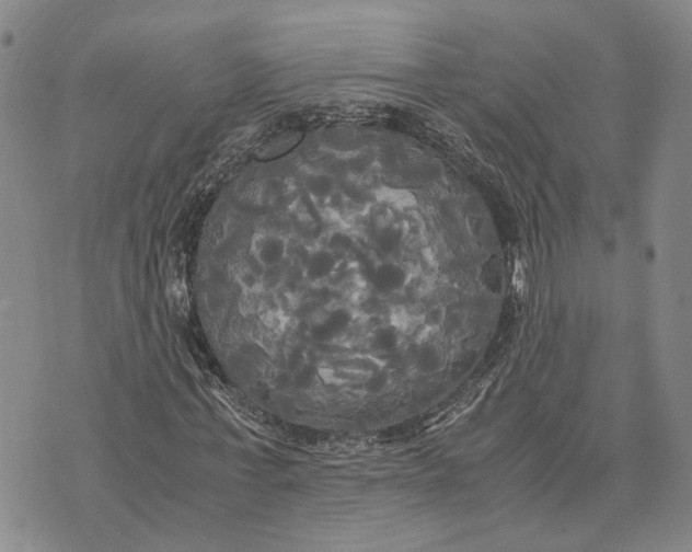 X0000072520771200608041531