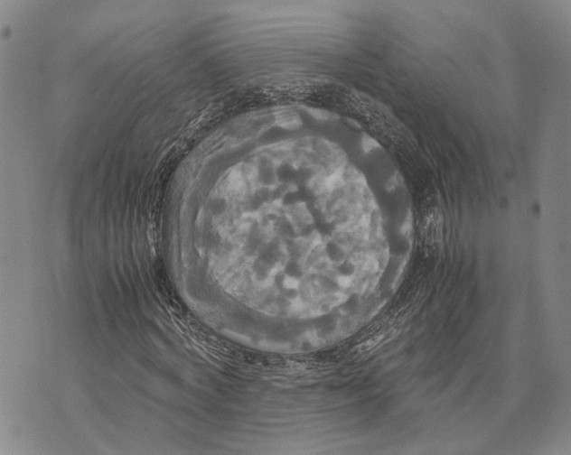 X0000072520772200608041531