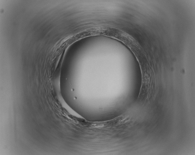 X0000072520773200608041531