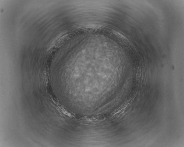 X0000072520774200608041531