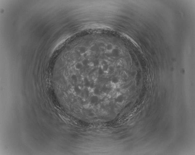 X0000072520775200608041531