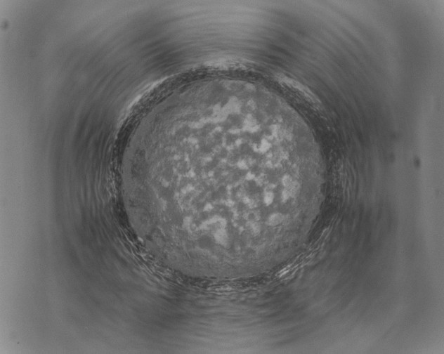 X0000072520776200608041531