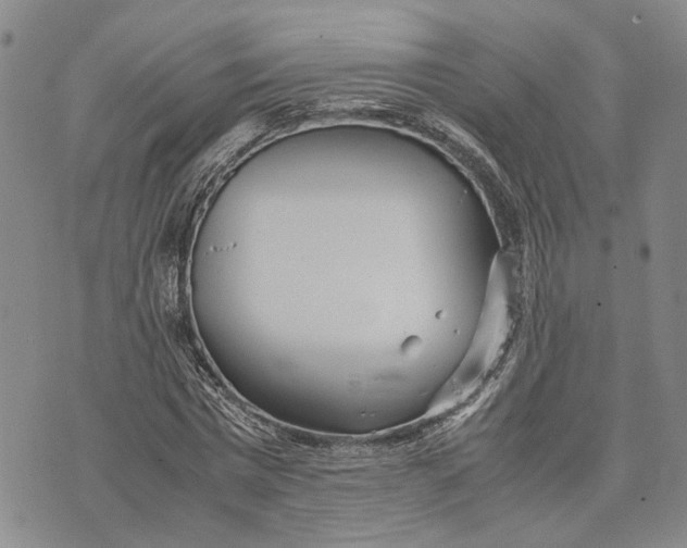 X0000072520777200608041531